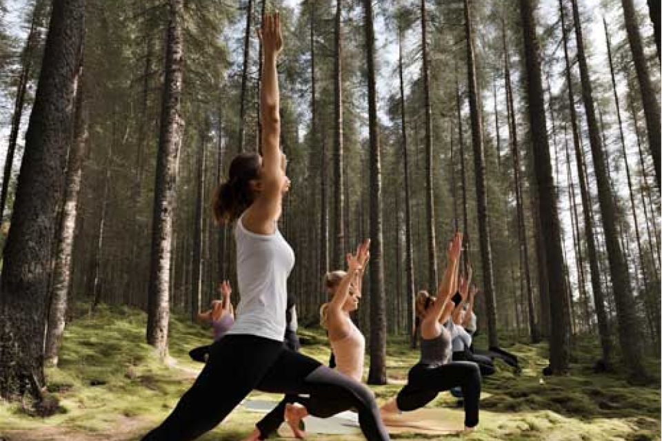 Yoga lesson in the forest Finland