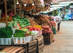 A Culinary Adventure in Indonesia