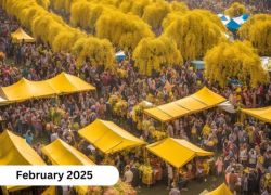 Mimosa Festival 2025