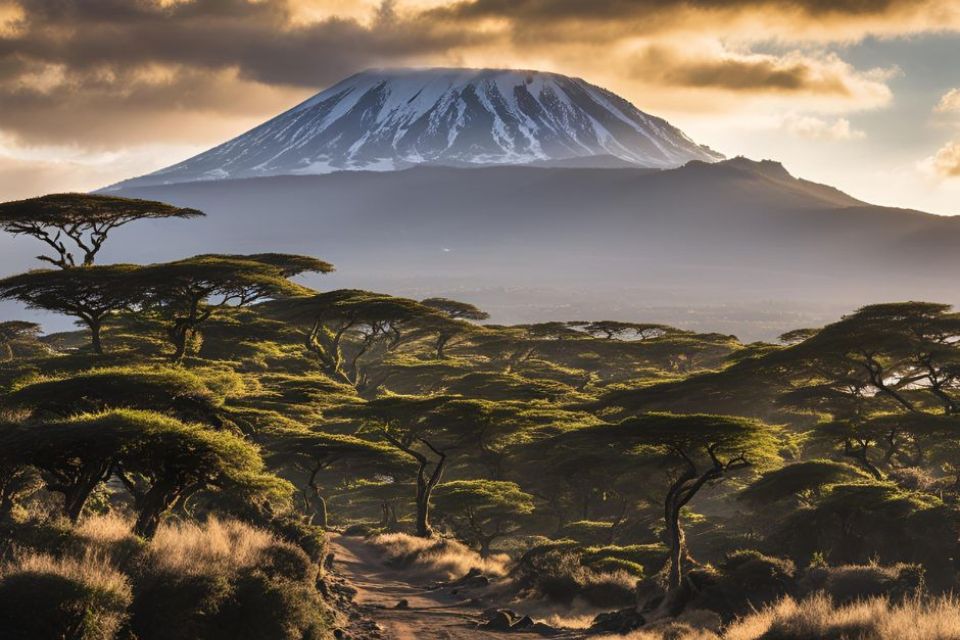 Climb Kilimanjaro for Lion Conservation