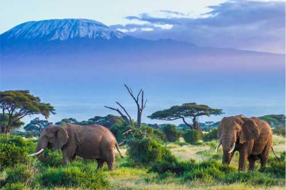 Discover the Magic of the Serengeti Game Reserve