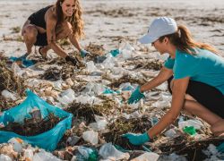 Eco-Friendly Beach Cleanup in Florida