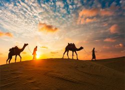 Rajasthan Desert Safari