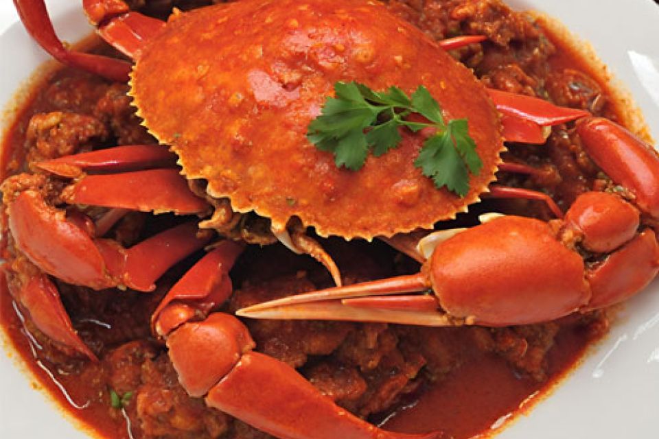 Singapur-Chili-Krabbe