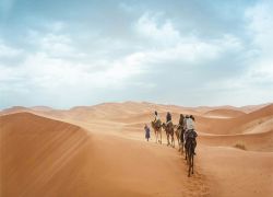 Camel Trekking in Morocco